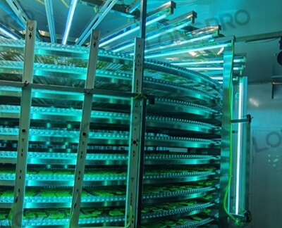 食品廠防爆紫外線殺菌燈：保障食品生產(chǎn)環(huán)境安全的利器！