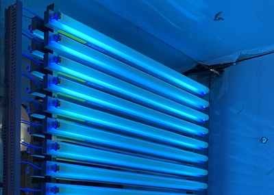 如何通過UV紫外光照實驗箱構(gòu)建動物皮膚光老化模型？