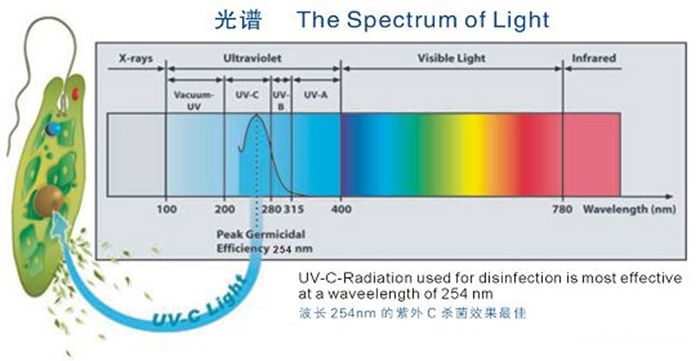 科普！紫外線殺菌燈對(duì)人體影響及正確使用方法
