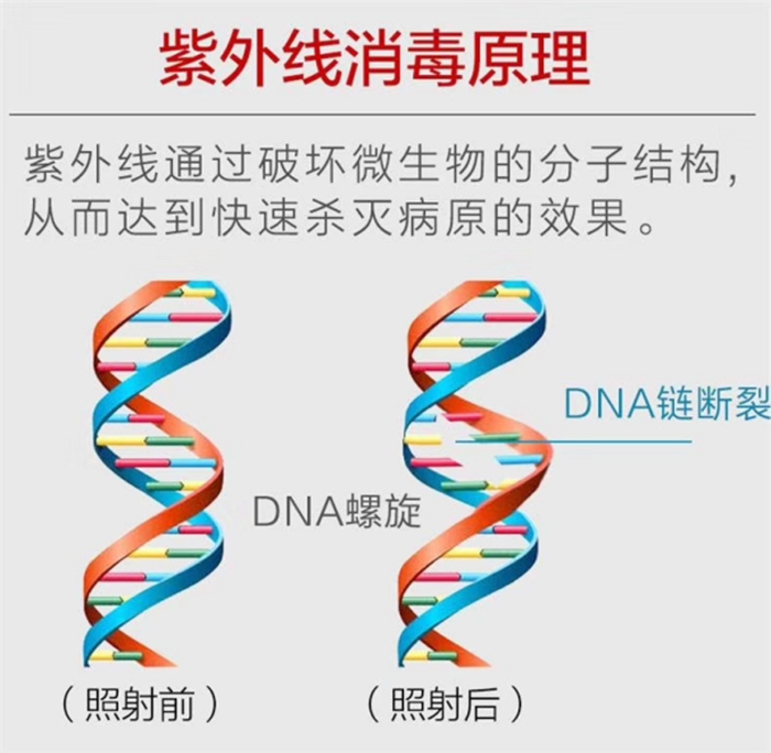 1585541269(1)_副本.jpg 1585541269(1)_副本.jpg